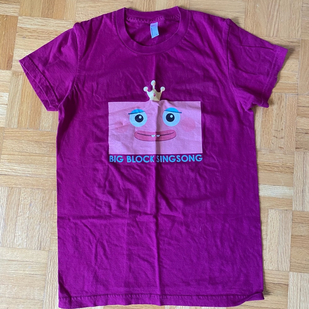 Big Block Sing Song Princess graphic T-shirt